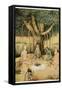 Asceticism: a Group of Mughal Ascetics-null-Framed Stretched Canvas