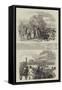 Ascot Races, 1846-null-Framed Stretched Canvas