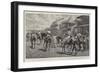 Ascot Races, Horses Passing the Royal Box on their Way to the Starting Post-John Charlton-Framed Giclee Print