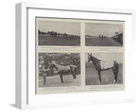 Ascot Winners and Runners-Up-null-Framed Giclee Print