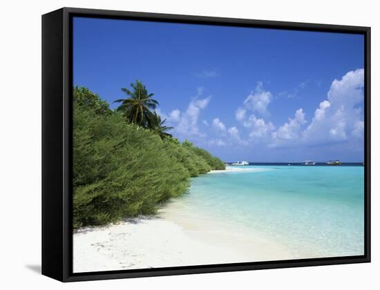 Asdu Island, North Male Atoll, Maldives, Indian Ocean-Sergio Pitamitz-Framed Stretched Canvas