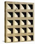 Urban Repetition-Ash Camas-Giclee Print