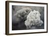 Ash Cloud from Eruption of Yasur Volcano, Tanna Island, Vanuatu, September 2008-Enrique Lopez-Tapia-Framed Photographic Print