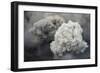 Ash Cloud from Eruption of Yasur Volcano, Tanna Island, Vanuatu, September 2008-Enrique Lopez-Tapia-Framed Photographic Print