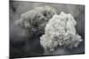 Ash Cloud from Eruption of Yasur Volcano, Tanna Island, Vanuatu, September 2008-Enrique Lopez-Tapia-Mounted Photographic Print