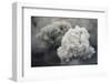 Ash Cloud from Eruption of Yasur Volcano, Tanna Island, Vanuatu, September 2008-Enrique Lopez-Tapia-Framed Photographic Print