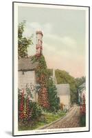 Ash Lane, Nantucket, Massachusetts-null-Mounted Art Print