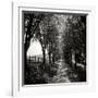 Ash Lawn Square I BW-Alan Hausenflock-Framed Photographic Print