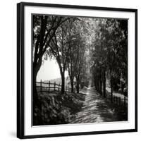 Ash Lawn Square I BW-Alan Hausenflock-Framed Photographic Print