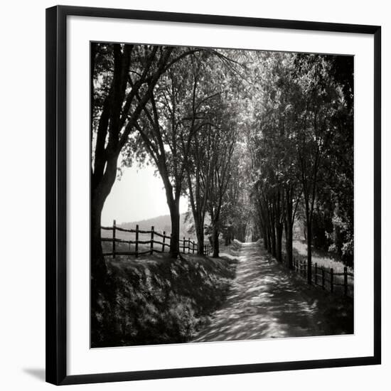 Ash Lawn Square I BW-Alan Hausenflock-Framed Photographic Print