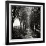 Ash Lawn Square I BW-Alan Hausenflock-Framed Photographic Print