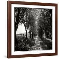 Ash Lawn Square I BW-Alan Hausenflock-Framed Photographic Print