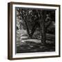 Ash Lawn Square II BW-Alan Hausenflock-Framed Photographic Print