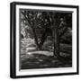 Ash Lawn Square II BW-Alan Hausenflock-Framed Photographic Print