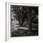 Ash Lawn Square II BW-Alan Hausenflock-Framed Photographic Print