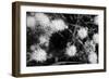 Ash River 10-Gordon Semmens-Framed Photographic Print