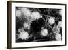 Ash River 10-Gordon Semmens-Framed Photographic Print