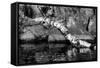 Ash River 11-Gordon Semmens-Framed Stretched Canvas