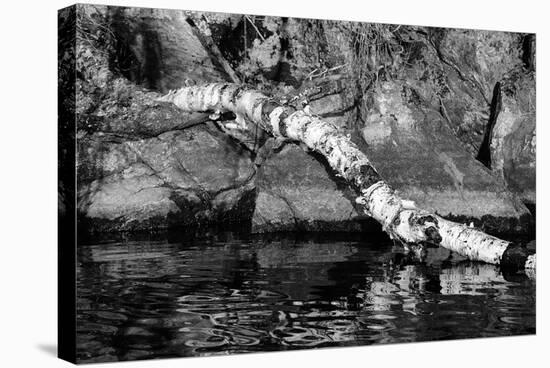 Ash River 11-Gordon Semmens-Stretched Canvas