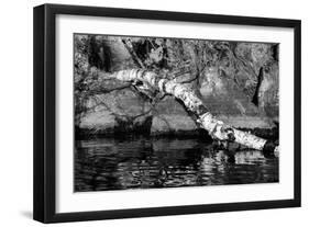 Ash River 11-Gordon Semmens-Framed Photographic Print