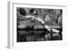 Ash River 11-Gordon Semmens-Framed Photographic Print