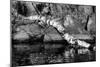 Ash River 11-Gordon Semmens-Mounted Photographic Print