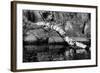 Ash River 11-Gordon Semmens-Framed Photographic Print