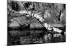 Ash River 11-Gordon Semmens-Mounted Photographic Print