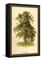 Ash Tree-W.h.j. Boot-Framed Stretched Canvas