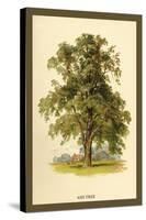 Ash Tree-W.h.j. Boot-Stretched Canvas