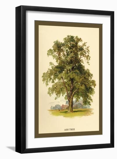 Ash Tree-W.h.j. Boot-Framed Art Print