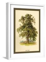 Ash Tree-W.h.j. Boot-Framed Art Print