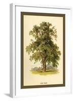 Ash Tree-W.h.j. Boot-Framed Art Print