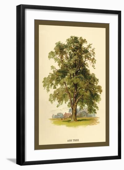 Ash Tree-W.h.j. Boot-Framed Art Print