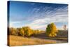 Ash Trees in Autumn Color at Arrowwood NWR, North Dakota, USA-Chuck Haney-Stretched Canvas