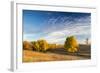 Ash Trees in Autumn Color at Arrowwood NWR, North Dakota, USA-Chuck Haney-Framed Photographic Print
