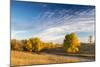 Ash Trees in Autumn Color at Arrowwood NWR, North Dakota, USA-Chuck Haney-Mounted Photographic Print