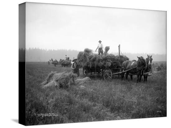 Stretched Canvas Print, , large