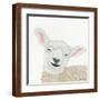 Brown Frame