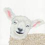 Laminate