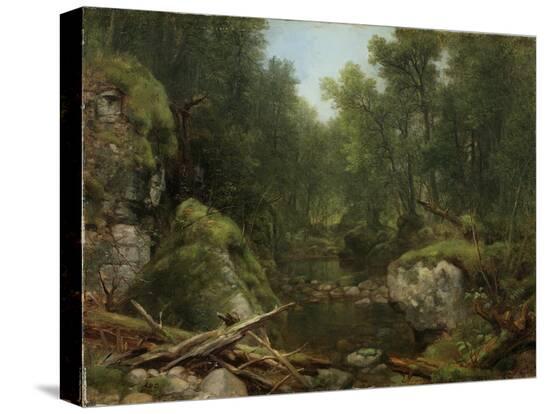 Stretched Canvas Print, , large