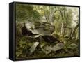 Canvas Black
