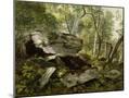 Wood Mount