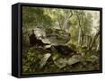 Canvas Black