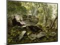 Wood Mount