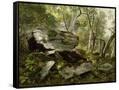 Canvas Black