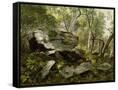 Canvas Black