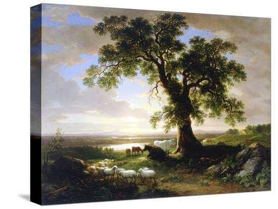Stretched Canvas Print, , large