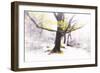 Ashes of Time-Viviane Fedieu Daniel-Framed Photographic Print