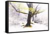 Ashes of Time-Viviane Fedieu Daniel-Framed Stretched Canvas